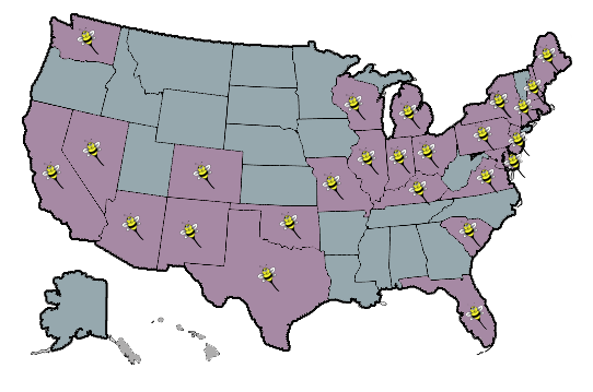 stinger map